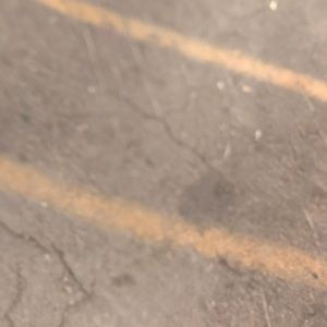 Meet your Posher, Serena